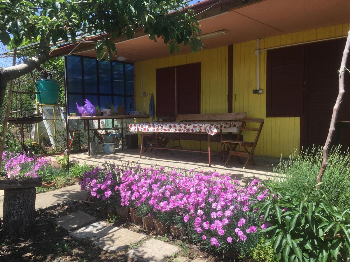 Бунгало- Bungalow Cavarna Exterior foto